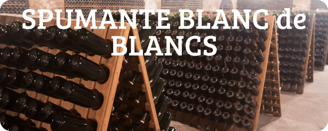 Spumante Blanc de Blancs in vendita - Enoteca Spinaci