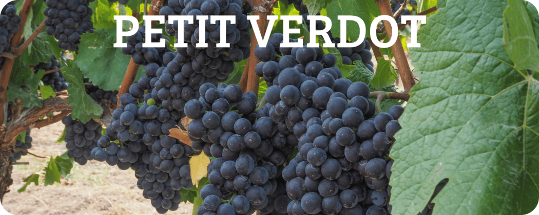 Petit Verdot vino rosso in vendita - Enoteca Spinaci