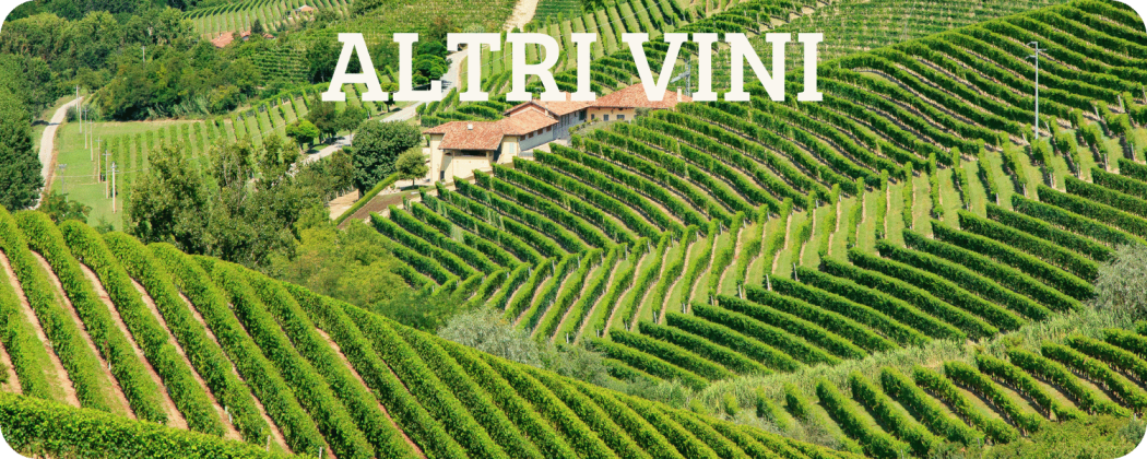 Altri vini italiani in vendita - Enoteca Spinaci