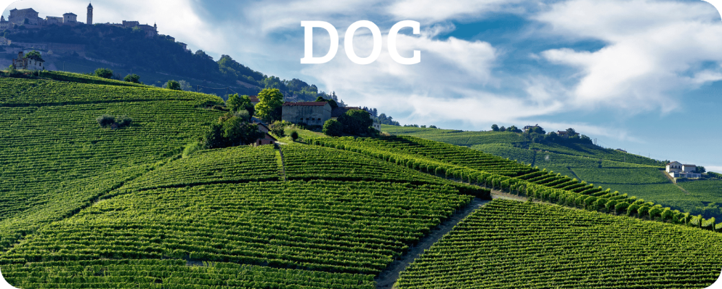 Denominazione di origine controllata - Enoteca Spinaci