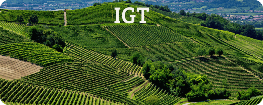 Indicazione geografica tipica - Enoteca Spinaci