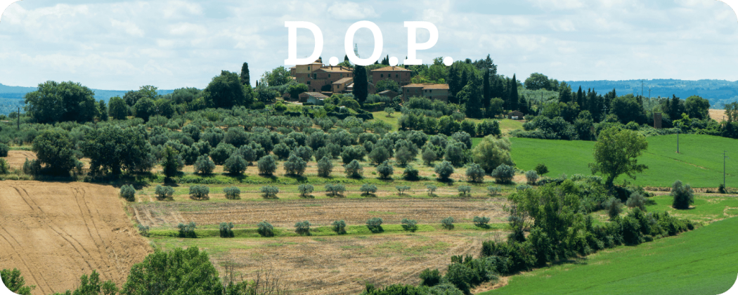 Denominazione origine protetta DOP - Enoteca Spinaci
