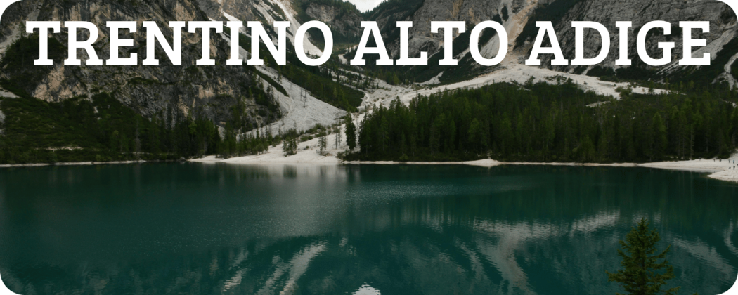 Prodotti tipici Trentino Alto Adige - Enoteca Spinaci