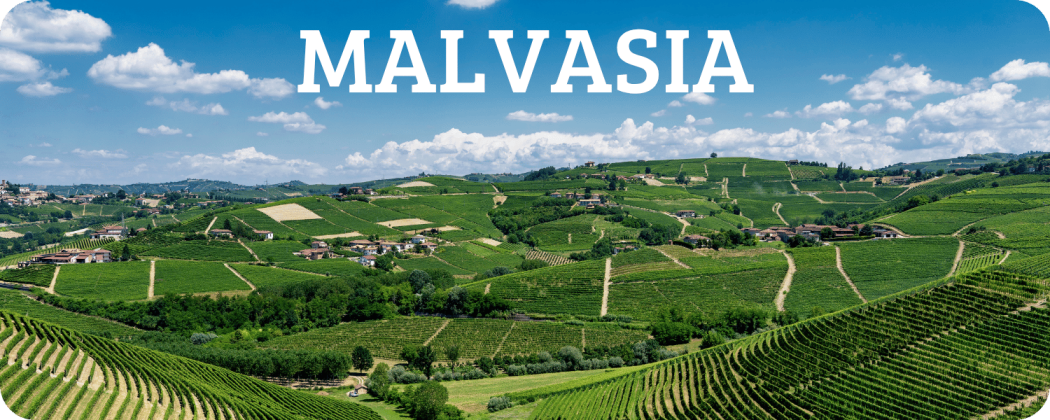 Malvasia vino bianco in vendita - Enoteca Spinaci