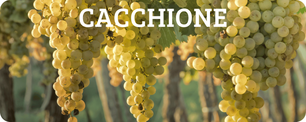 Cacchione vino in vendita - Enoteca Spinaci