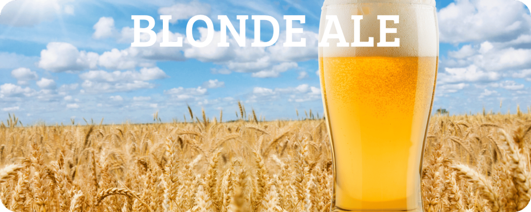 Blonde Ale in vendita - Enoteca Spinaci