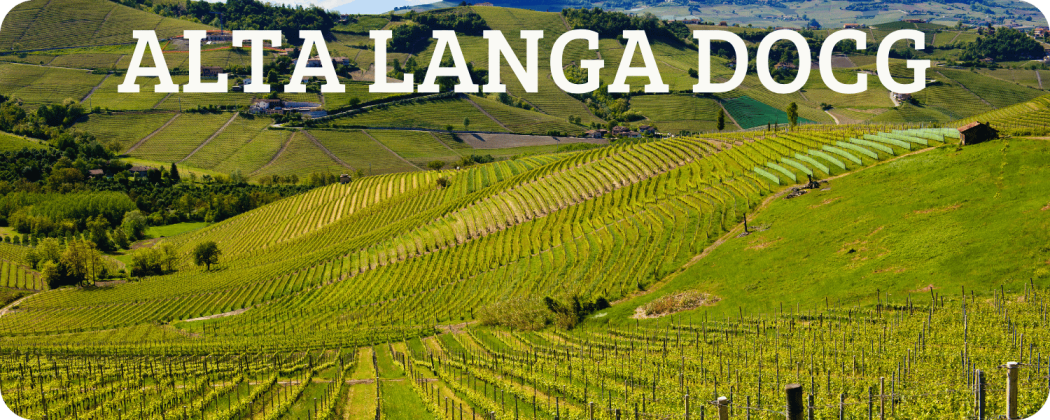 Alta Langa DOCG spumante - Enoteca Spinaci